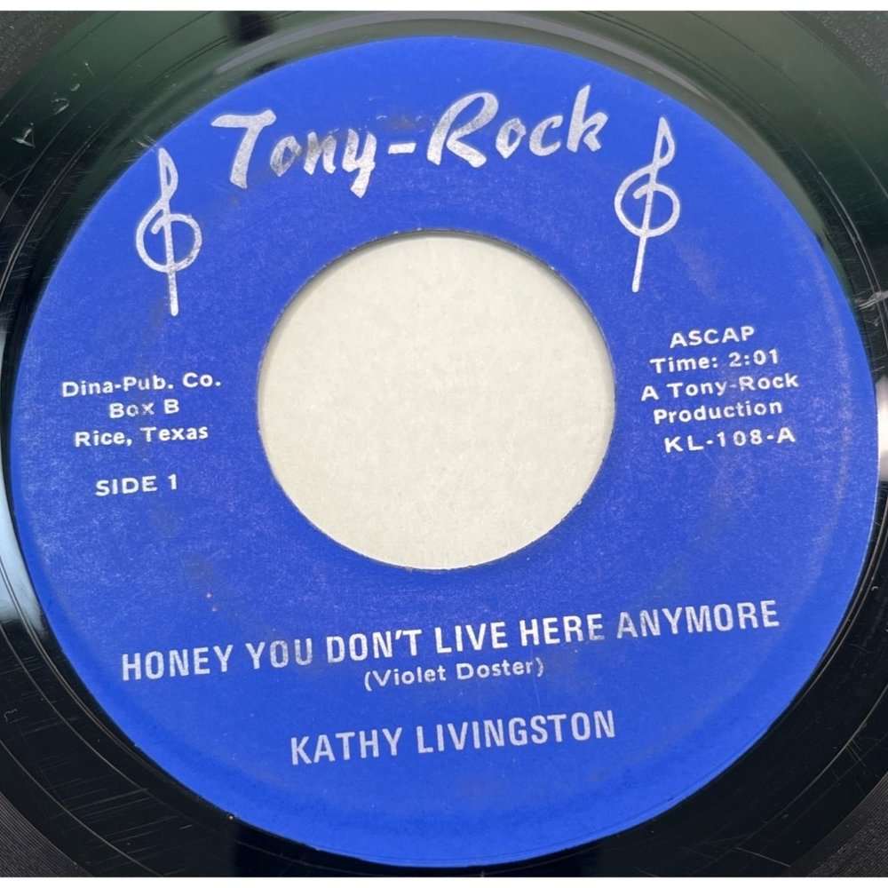 Kathy Livingston Honey You Don't Live Here Anymore 45 Country Tony Rock 108